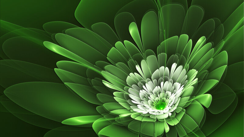 Green Fractal Flower — Serene, Digital Art
