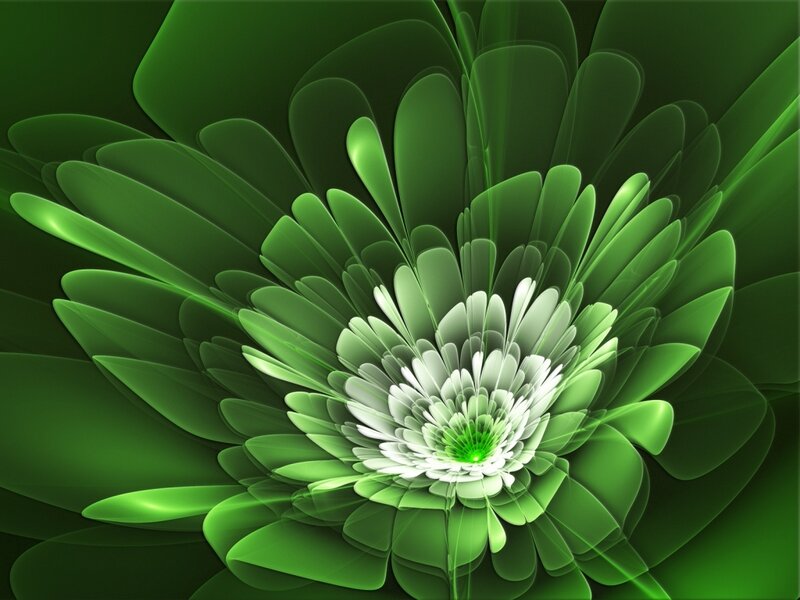 Green Fractal Flower — Serene