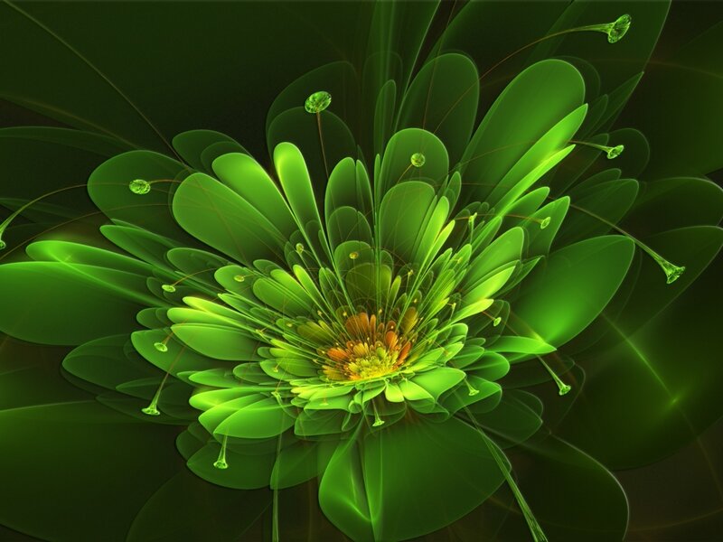 Green Fractal Flower — Vibrant, Digital Art