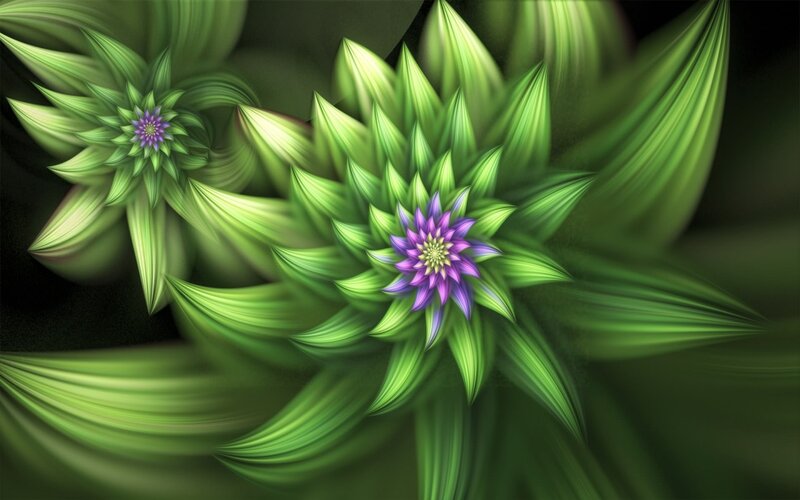 Green Fractal Flowers