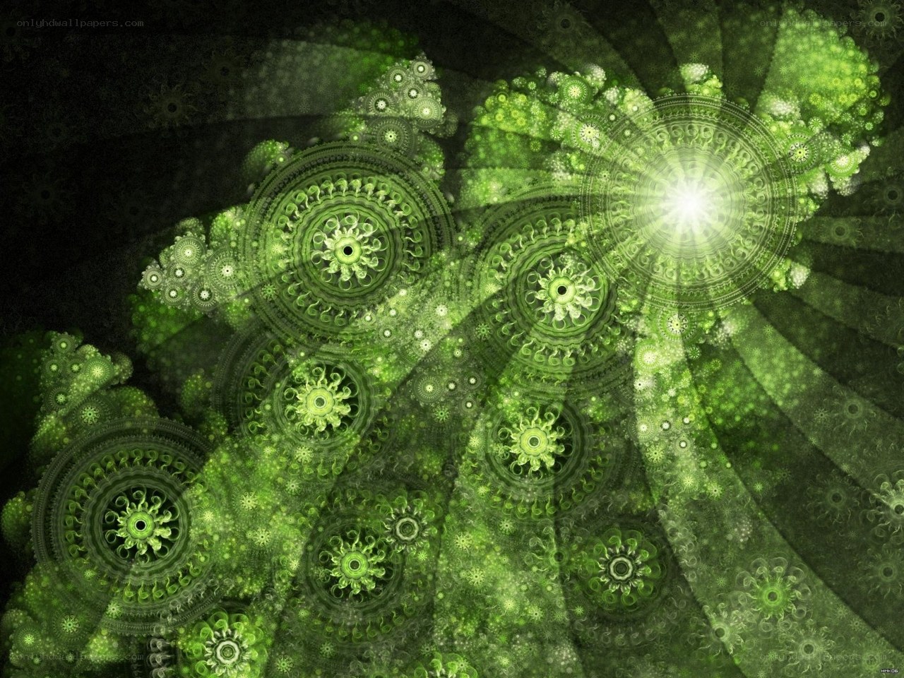 Green fractal mandala patterns