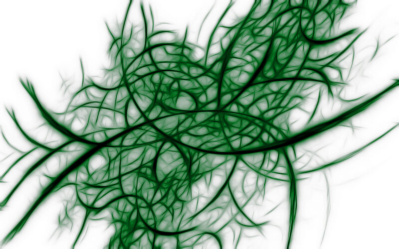 green fractal network