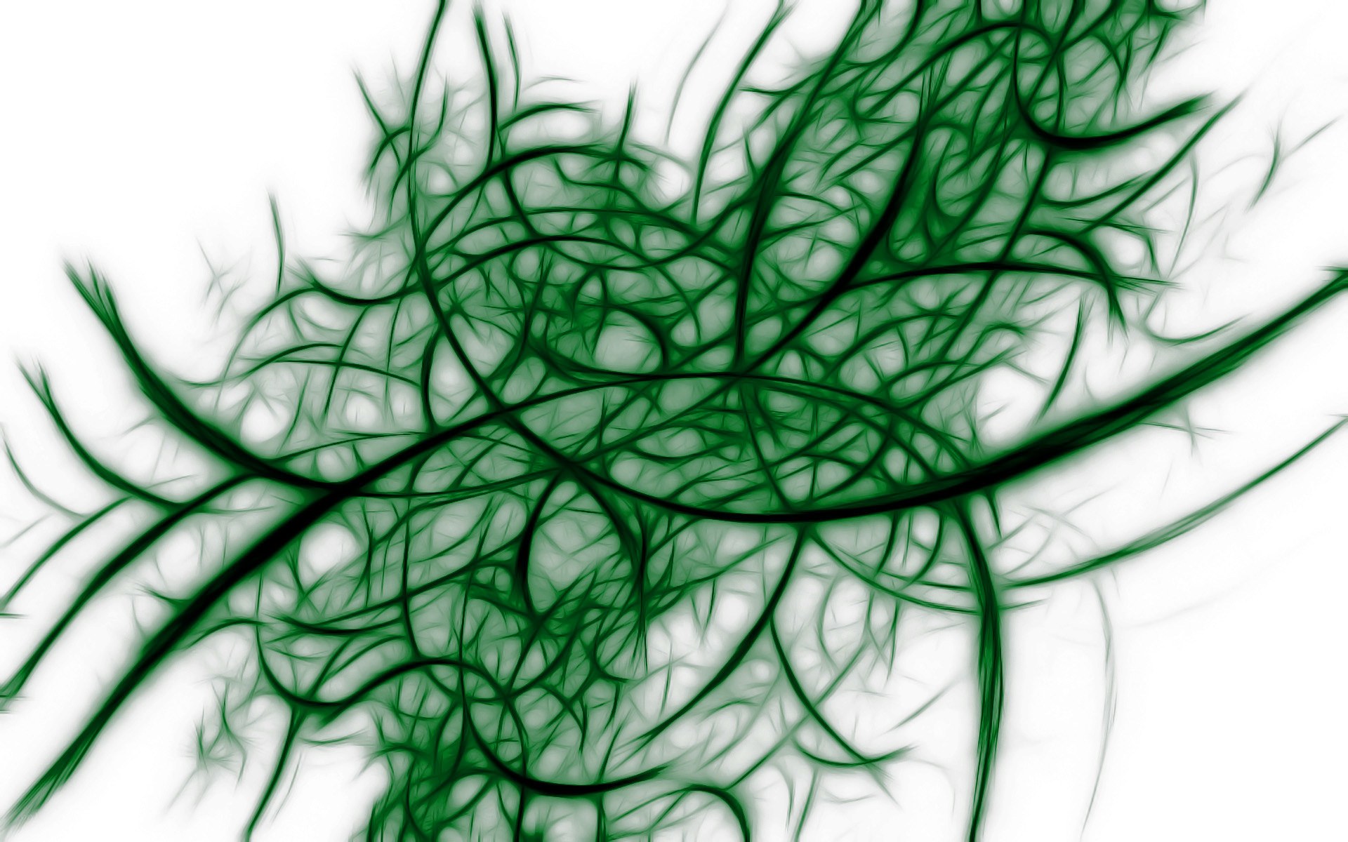 green fractal network