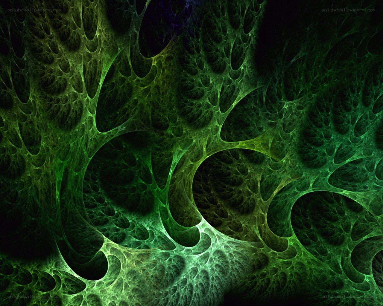 green fractal network
