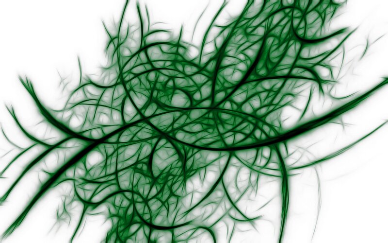Green fractal network pattern