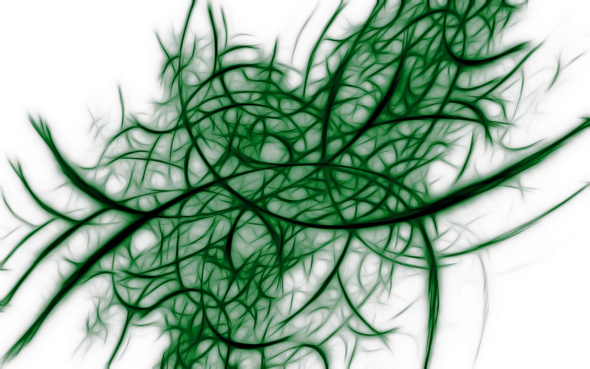 Green fractal network pattern