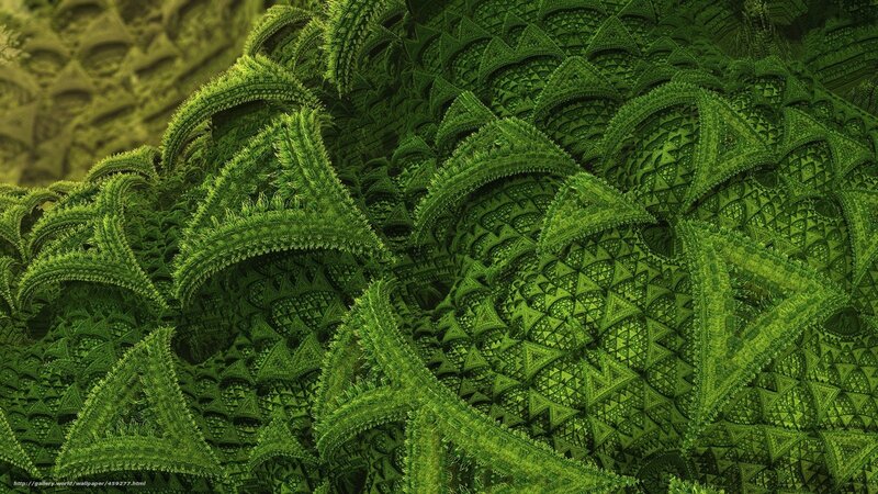 Green Fractal Pattern — Complex