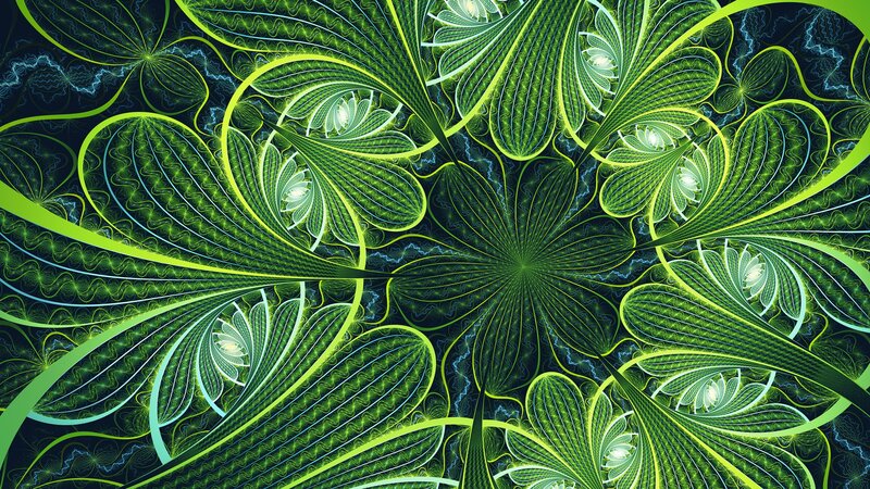 Green Fractal Pattern — Hypnotic, Digital Art, Spiral, Leaf