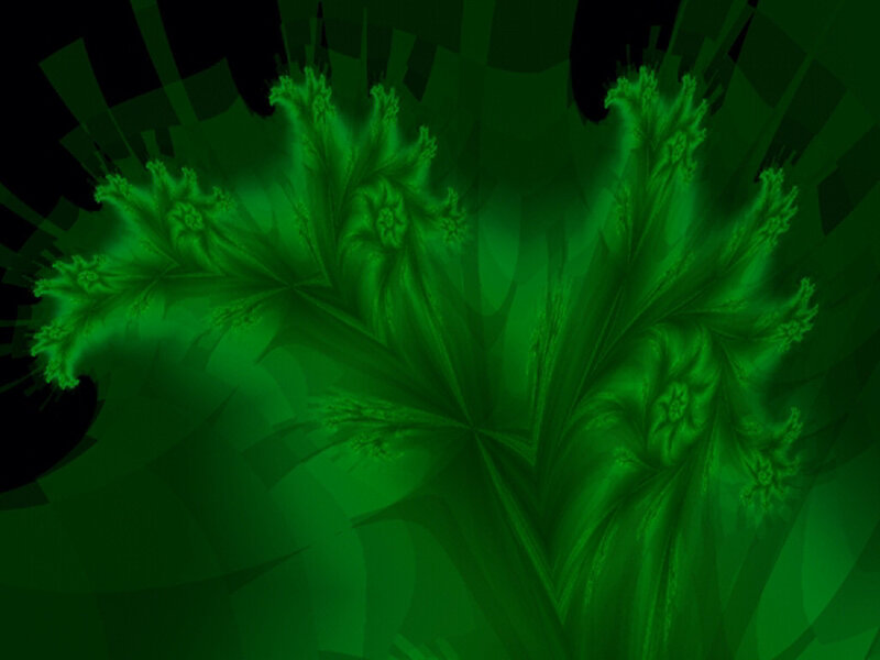 Green Fractal Pattern — Mysterious