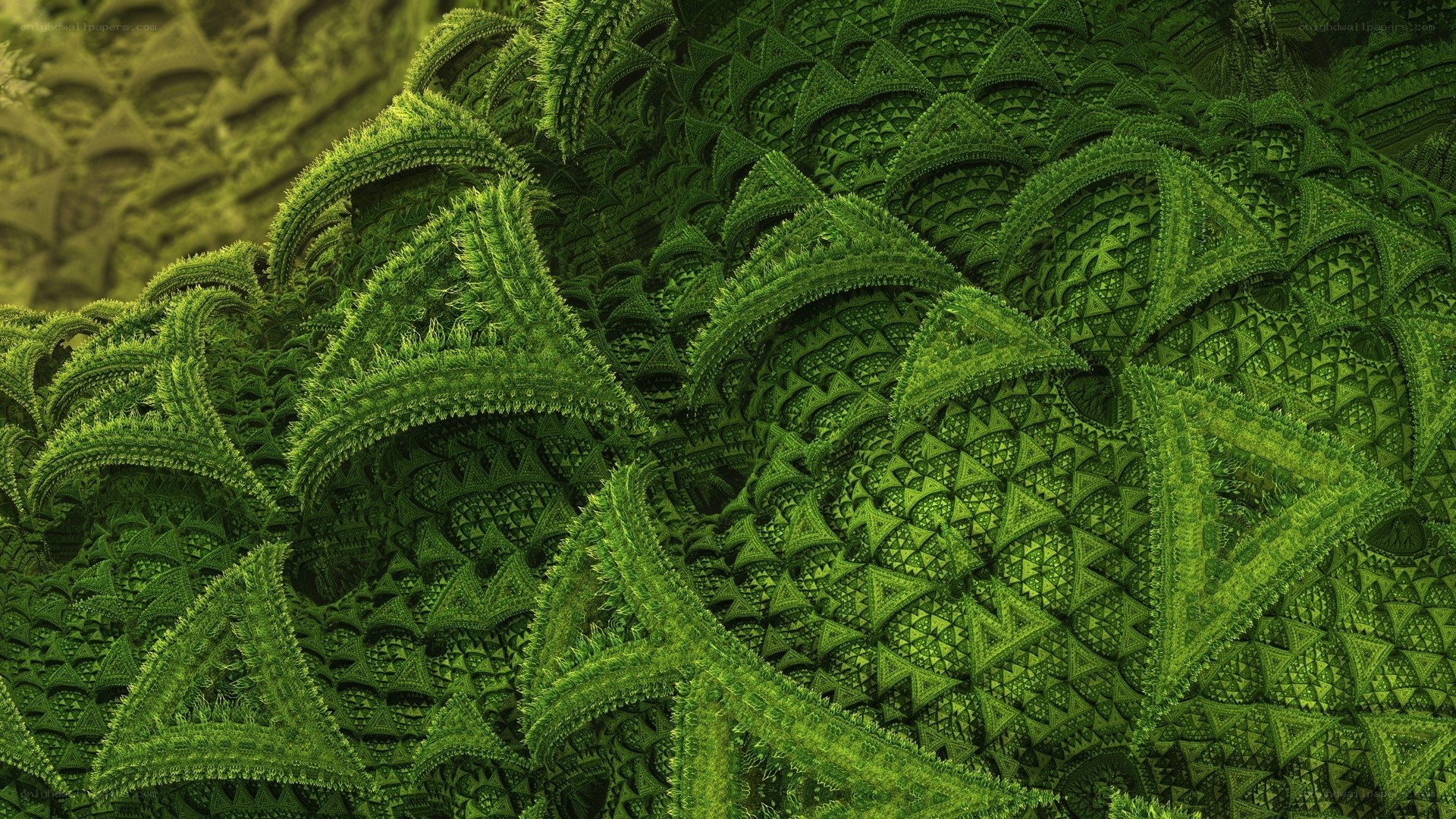 green fractal pattern