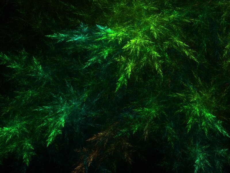 Green Fractal Patterns — Mysterious, Digital Art, Fractals