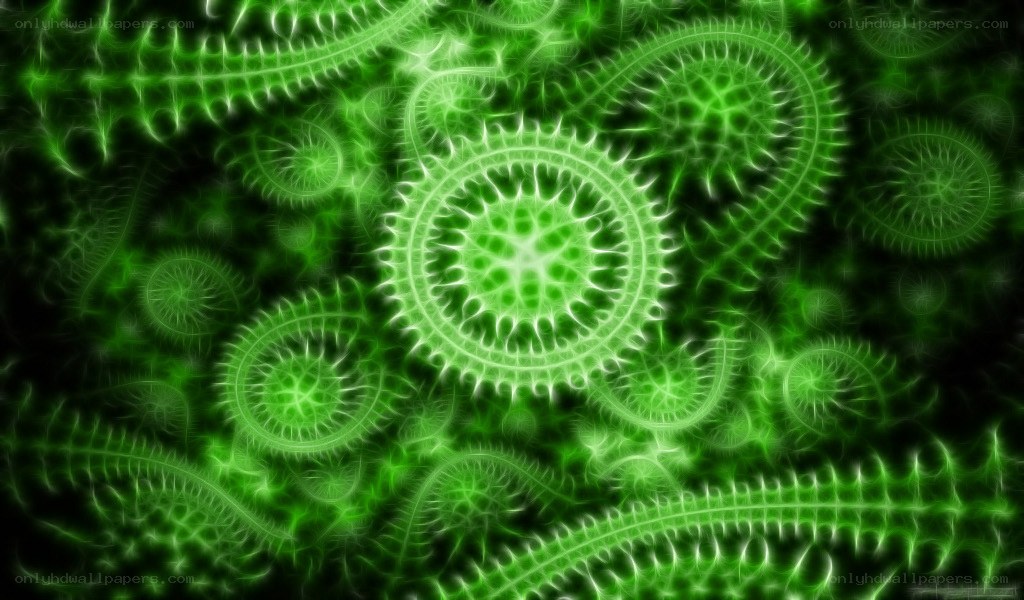 green fractal patterns