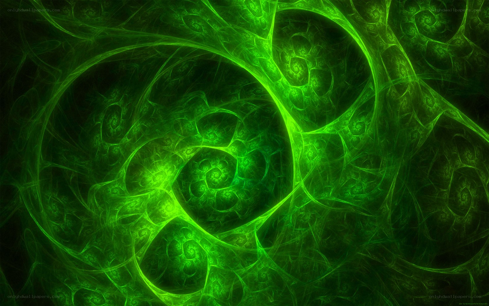 green fractal spiral pattern