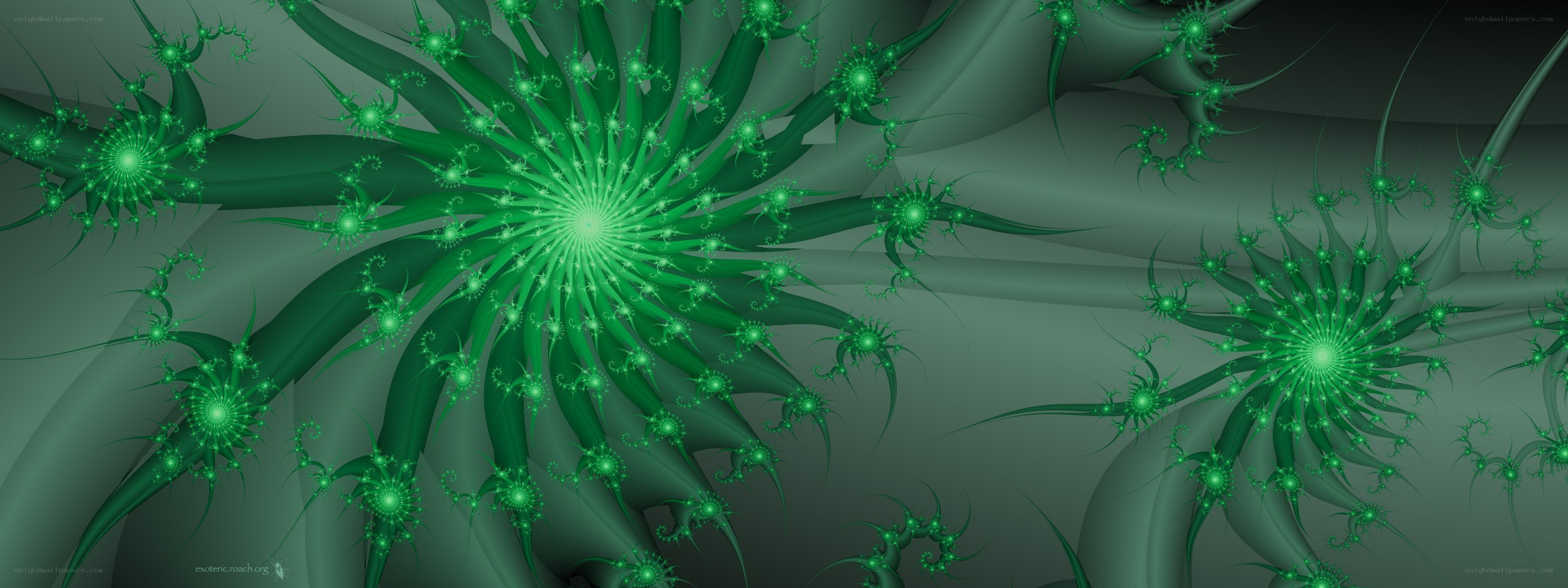 Green fractal spiral pattern