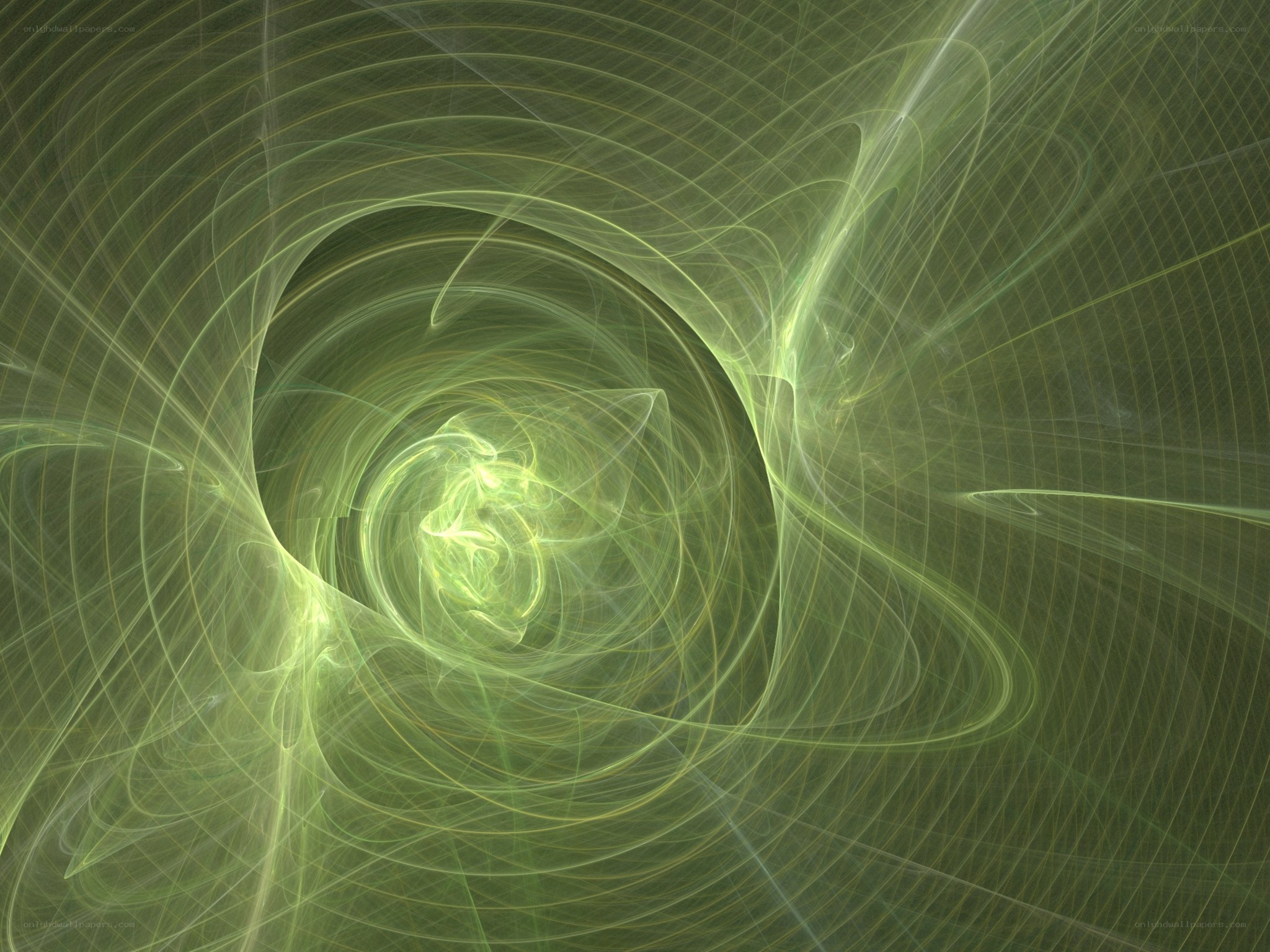 green fractal spiral pattern