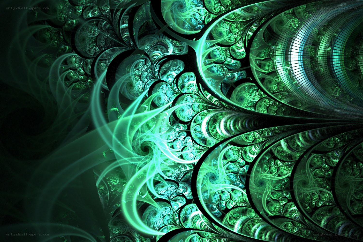 green fractal spiral pattern