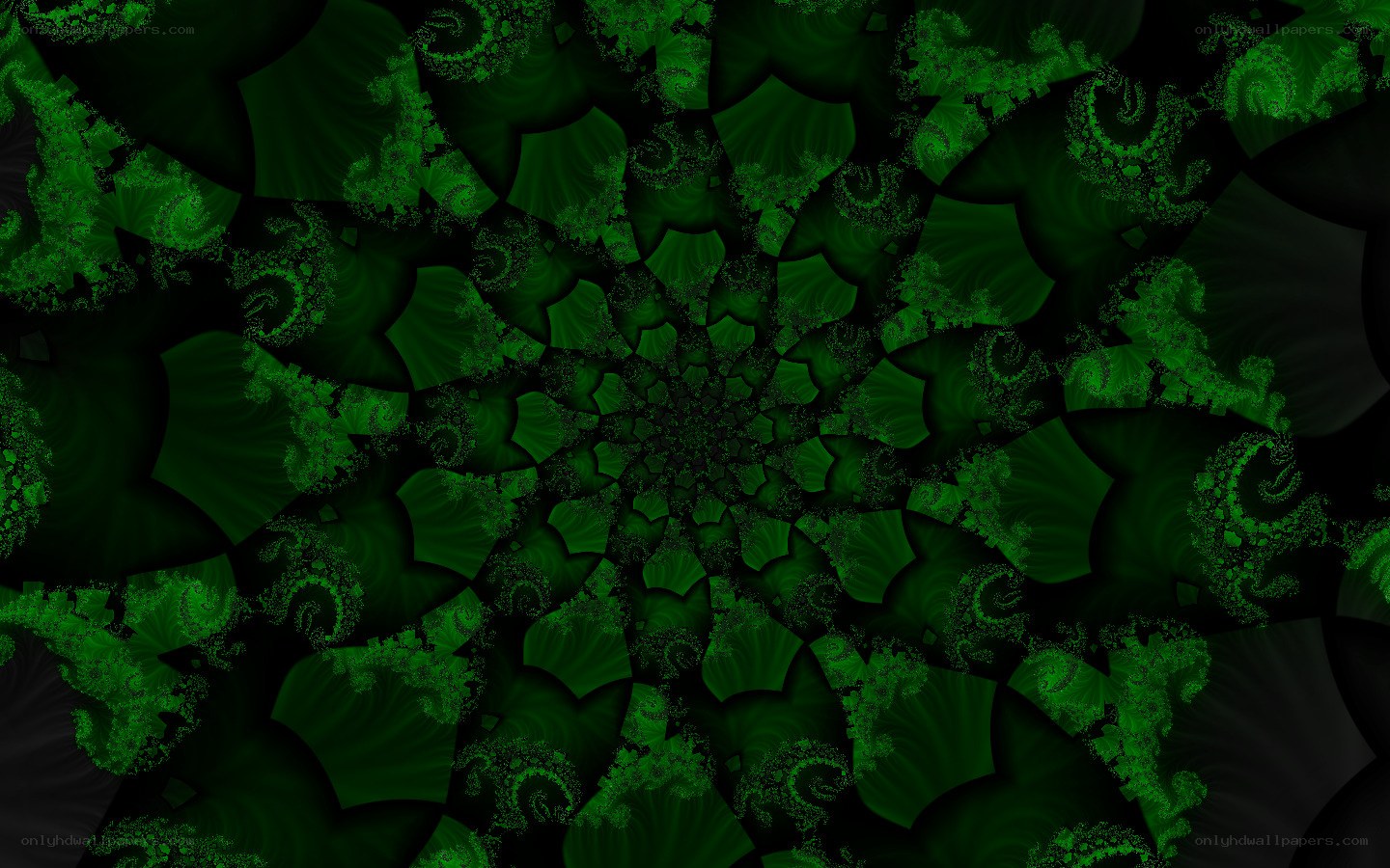 green fractal spiral pattern