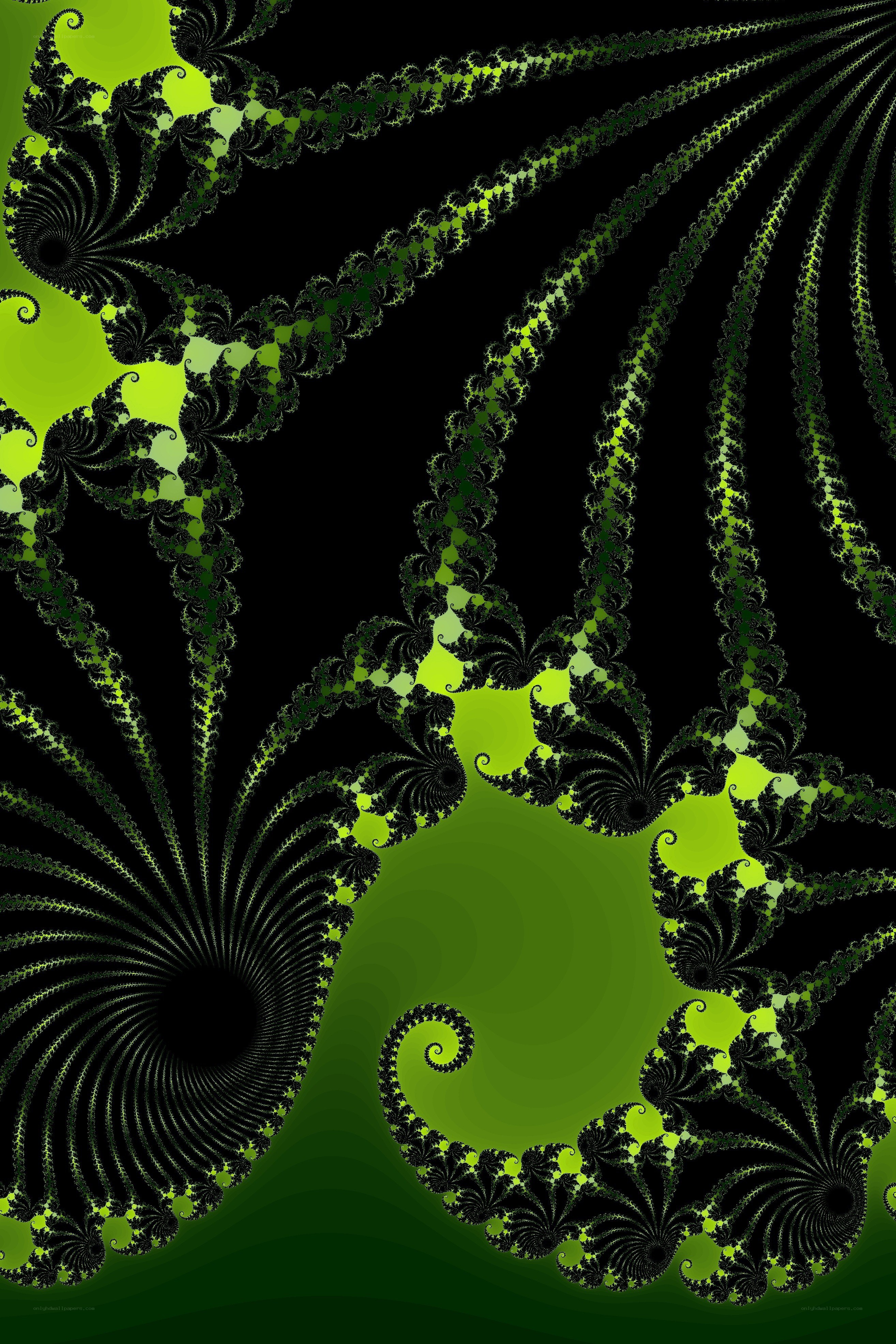 green fractal spiral pattern