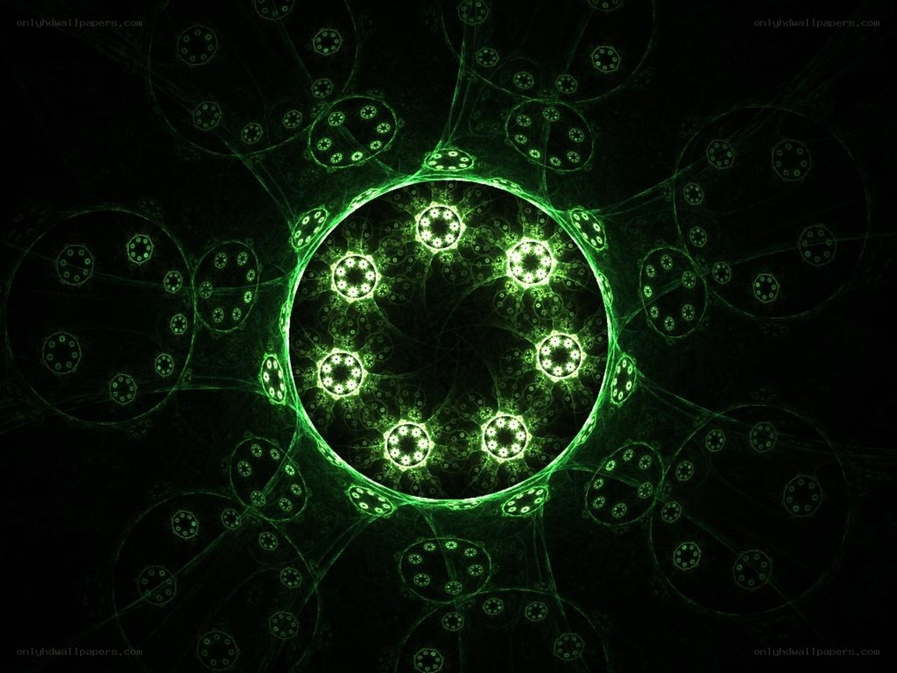 green fractal spiral pattern