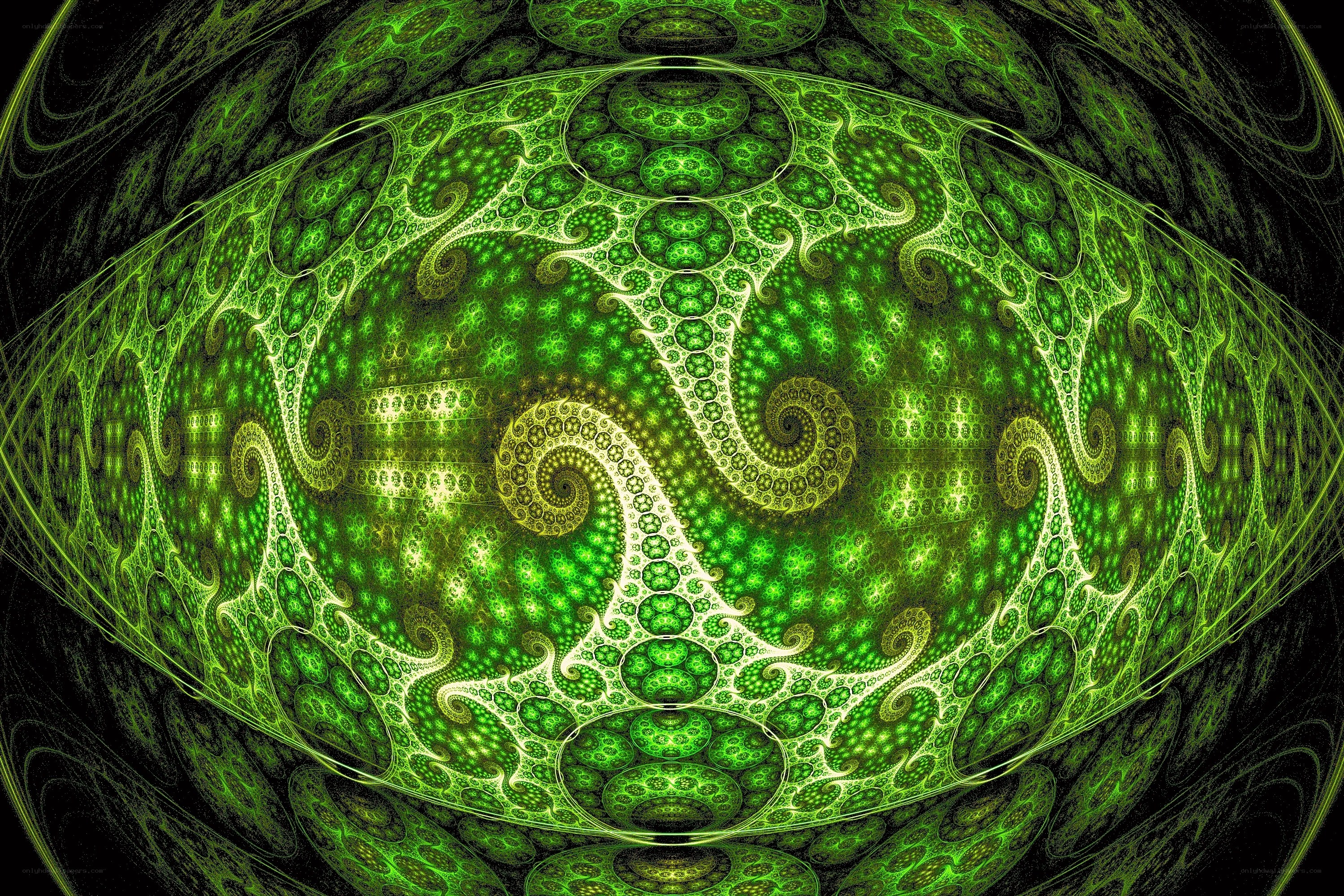 Green fractal spiral pattern