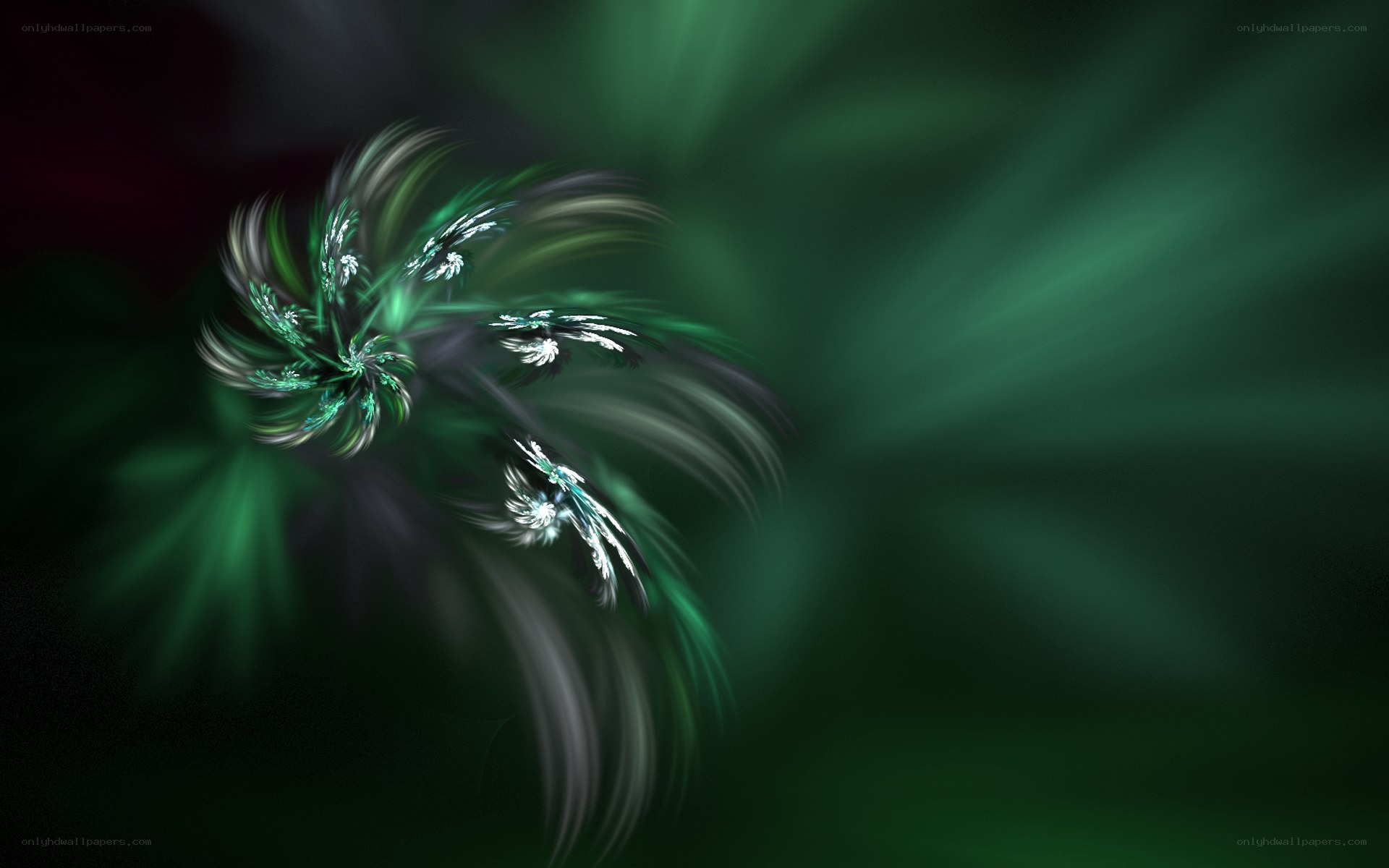 green fractal spiral pattern