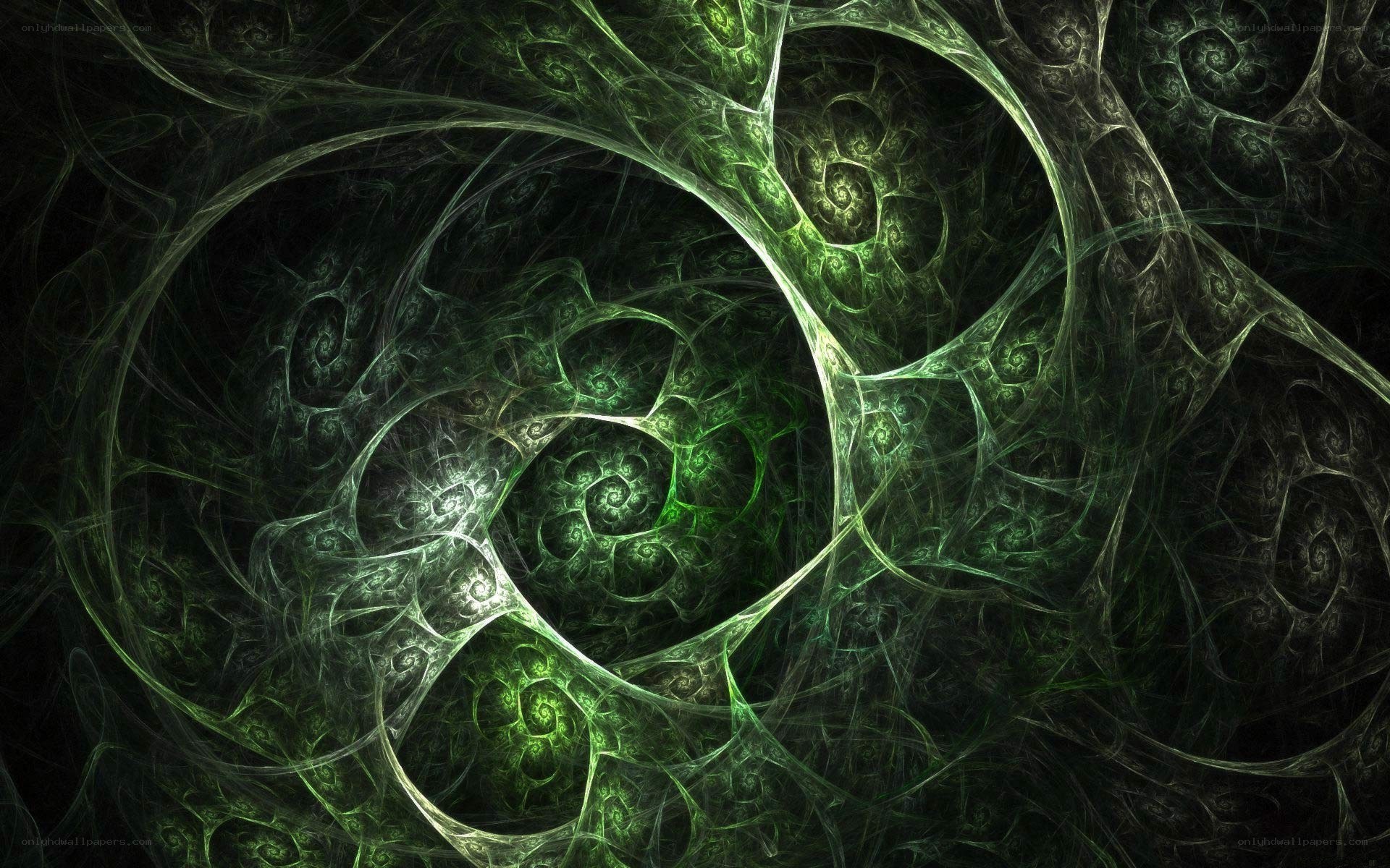 Green fractal spiral pattern