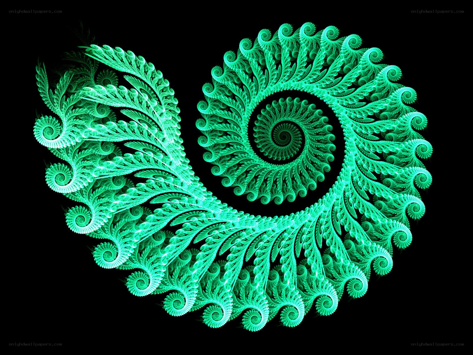 Green fractal spiral pattern