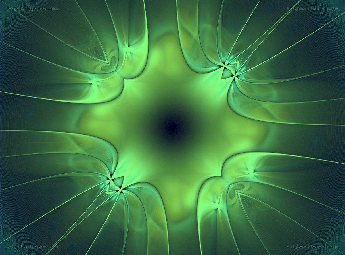 green fractal star pattern