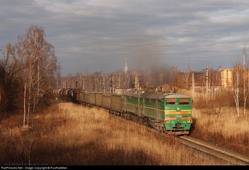 Green freight train in autumn