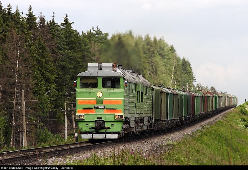Green freight train in forest