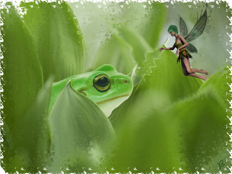 Green Frog and Fairy