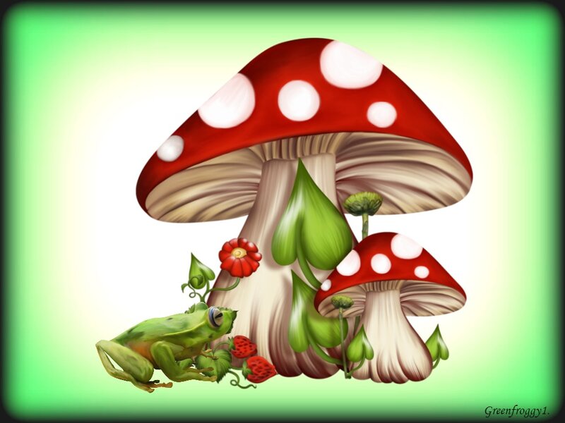 Green Frog and Mushrooms