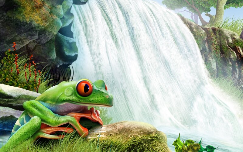 Green Frog by Waterfall — Serene