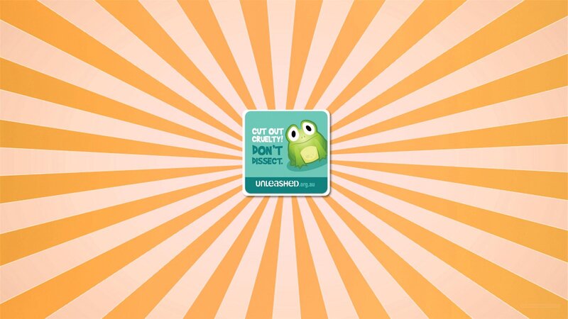 Green Frog Cartoon