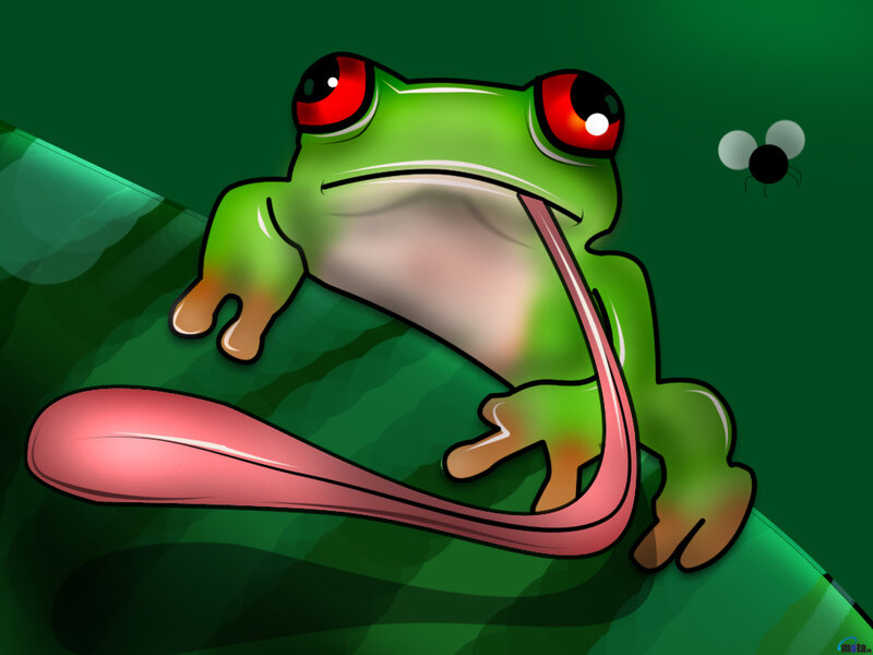 green frog catching a fly