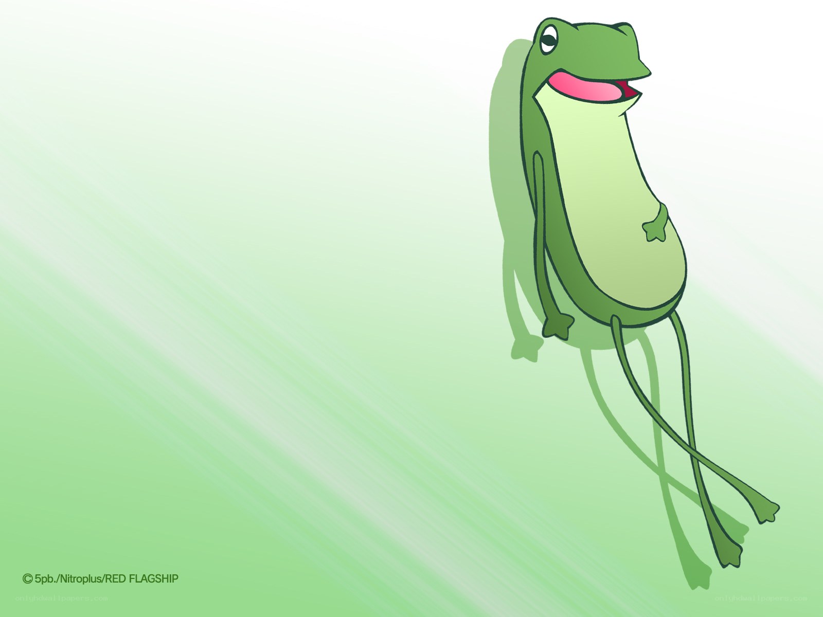 green frog character illustration