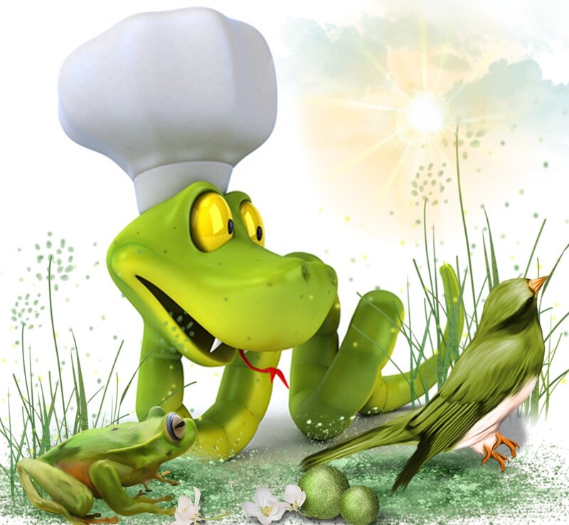Green Frog Chef