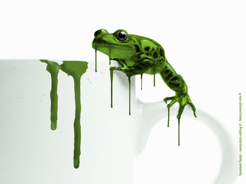 green frog dripping paint
