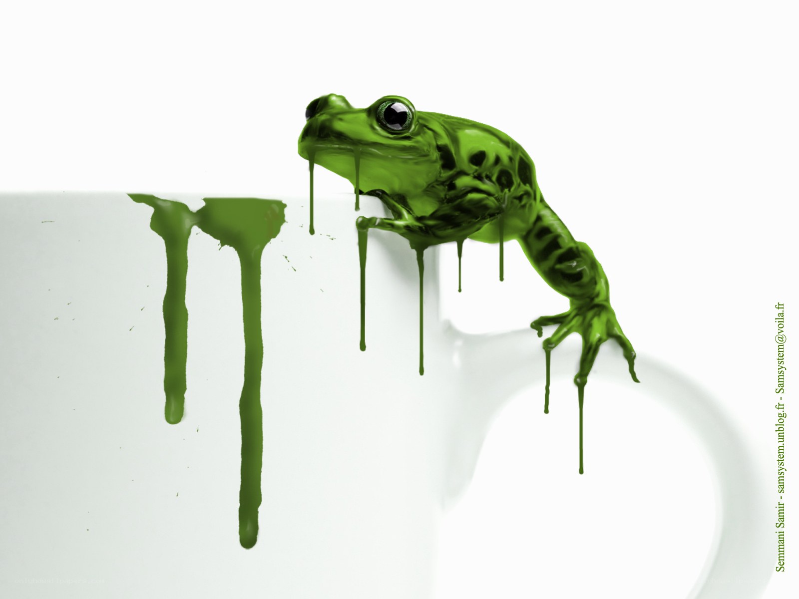 green frog dripping paint
