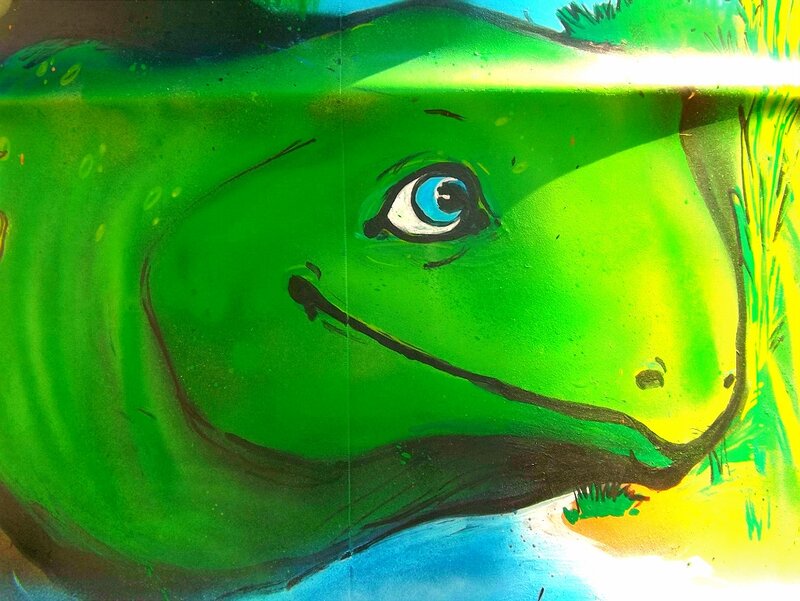 Green Frog Face