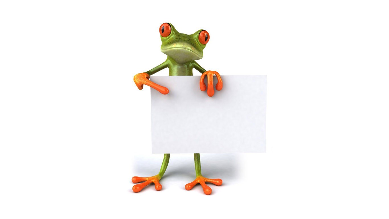 green frog holding blank sign