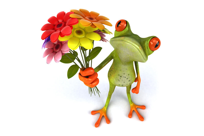 Green Frog Holding Flowers — Playful