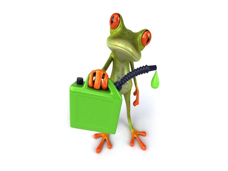 Green Frog Holding Fuel Can