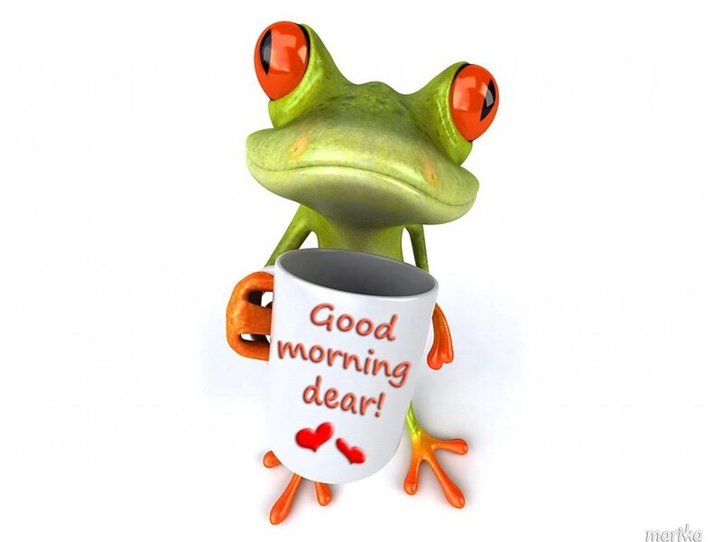 Green Frog Holding Mug — Friendly