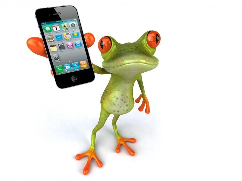 Green Frog Holding Phone