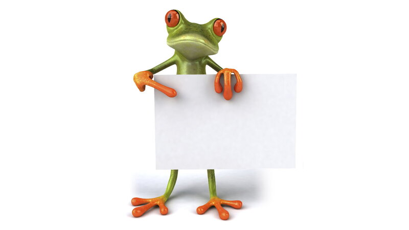 Green Frog Holding Sign — Neutral