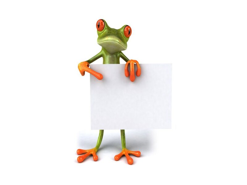 Green Frog Holding Sign