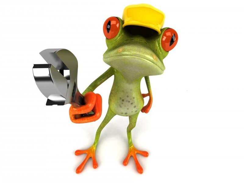 Green Frog Holding Wrench