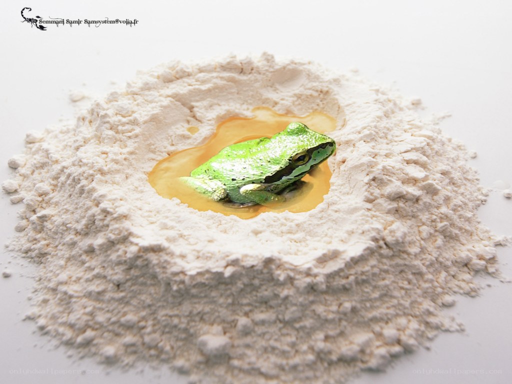 green frog in flour