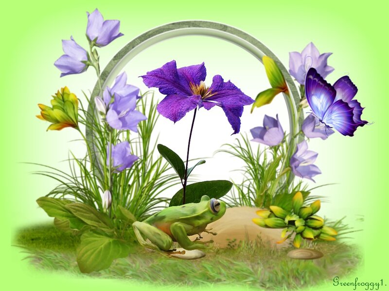 Green Frog in Garden — Serene